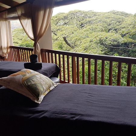 Honeywood Forest Lodge Порт Шепстоун Екстериор снимка