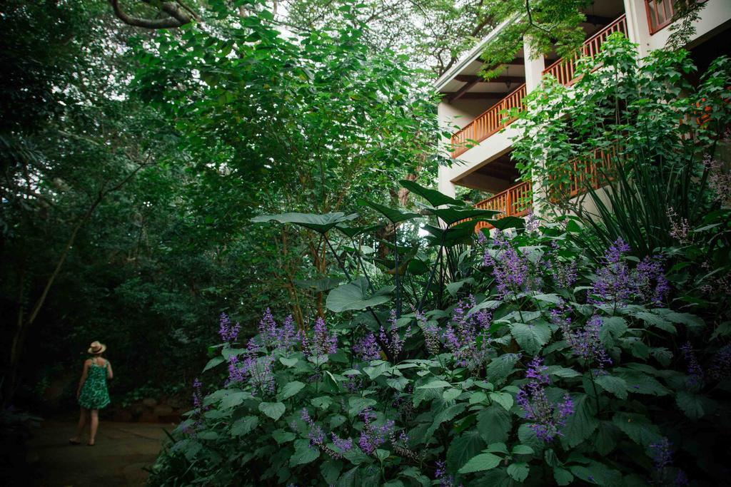 Honeywood Forest Lodge Порт Шепстоун Екстериор снимка