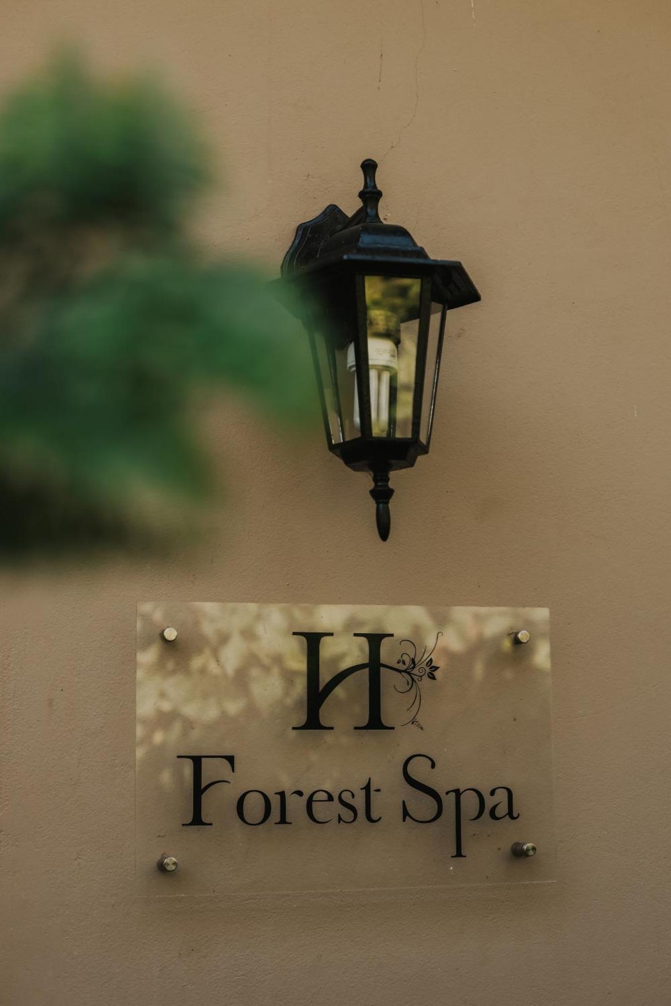 Honeywood Forest Lodge Порт Шепстоун Екстериор снимка