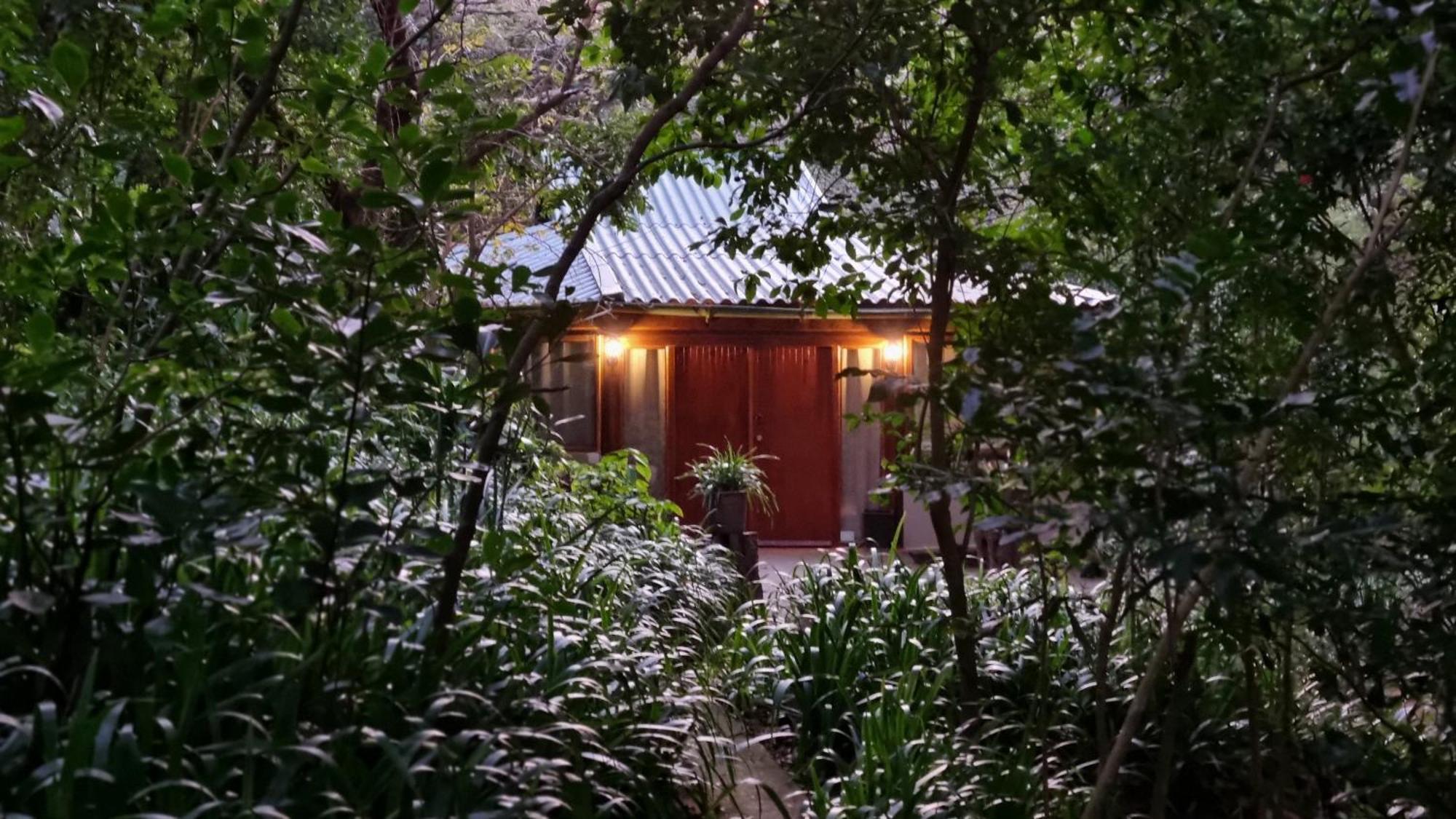 Honeywood Forest Lodge Порт Шепстоун Екстериор снимка