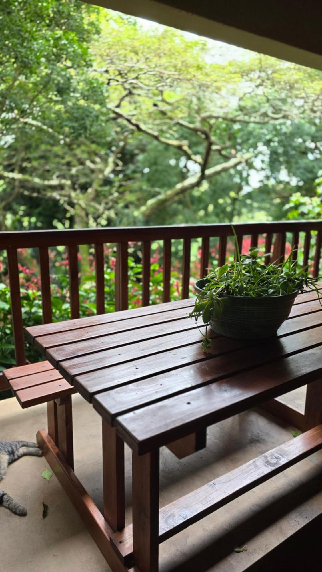 Honeywood Forest Lodge Порт Шепстоун Екстериор снимка